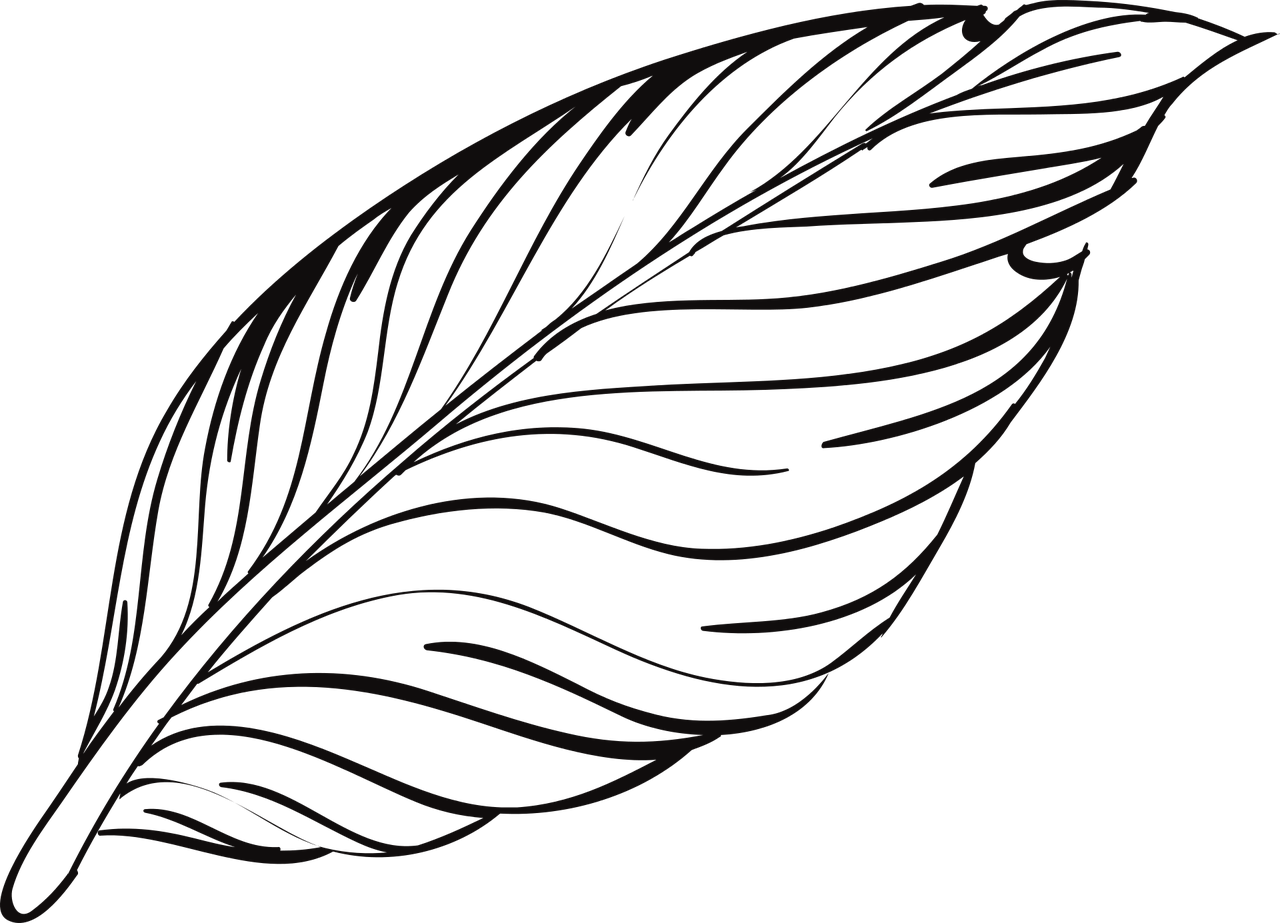 a black and white feather on a black background, an abstract drawing, inspired by Sakai Hōitsu, hurufiyya, website banner, many leaves, black outline, resources background