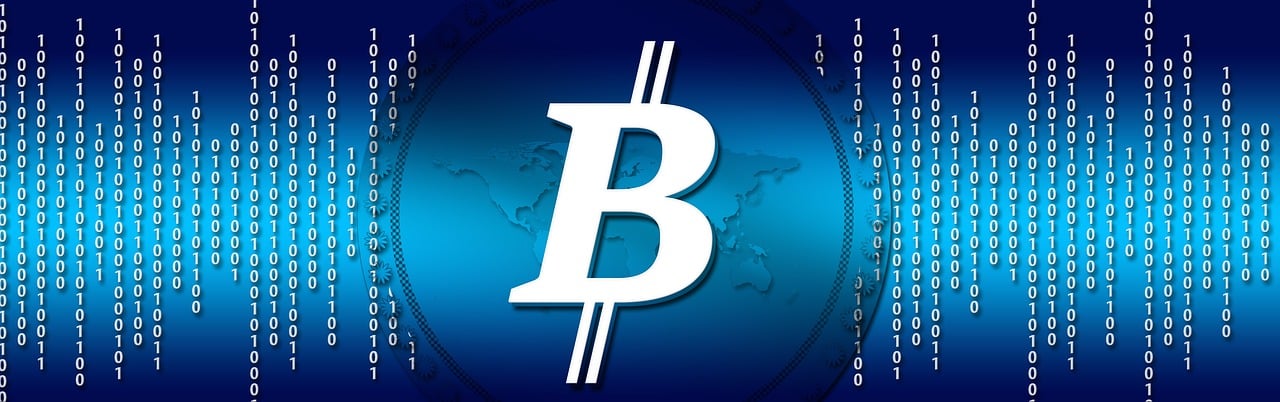a bitcoin with a world map in the background, pixabay, bauhaus, blue image, b.h. robinson, 3 d logo, beaver