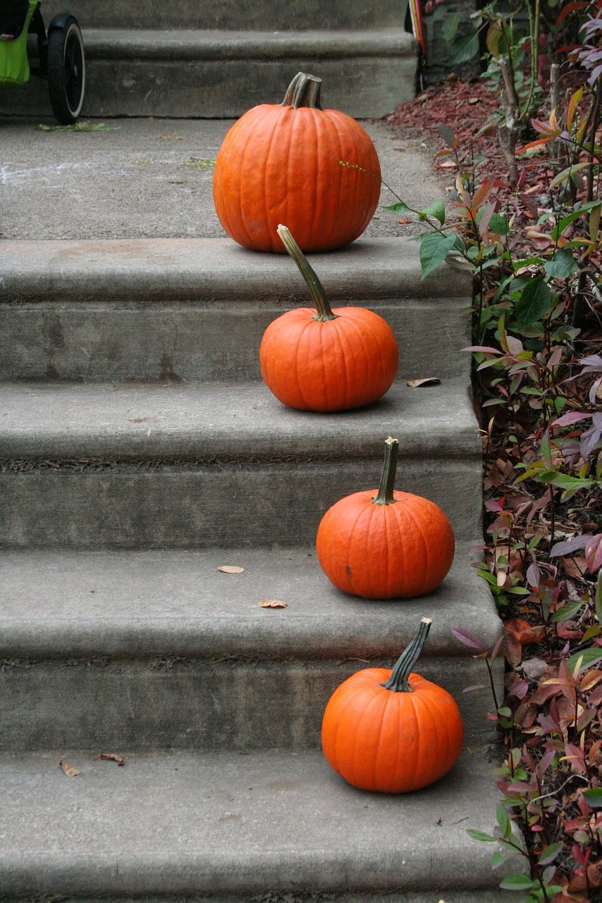 a group of pumpkins sitting on the steps of a house, by Loren Munk, flickr, walking to the right, four, crackles, in a row
