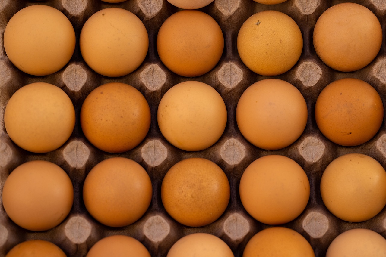 a carton filled with lots of brown eggs, a picture, by Juan O'Gorman, shutterstock, detailed grid as background, shot from above, egypt, close-up product photo
