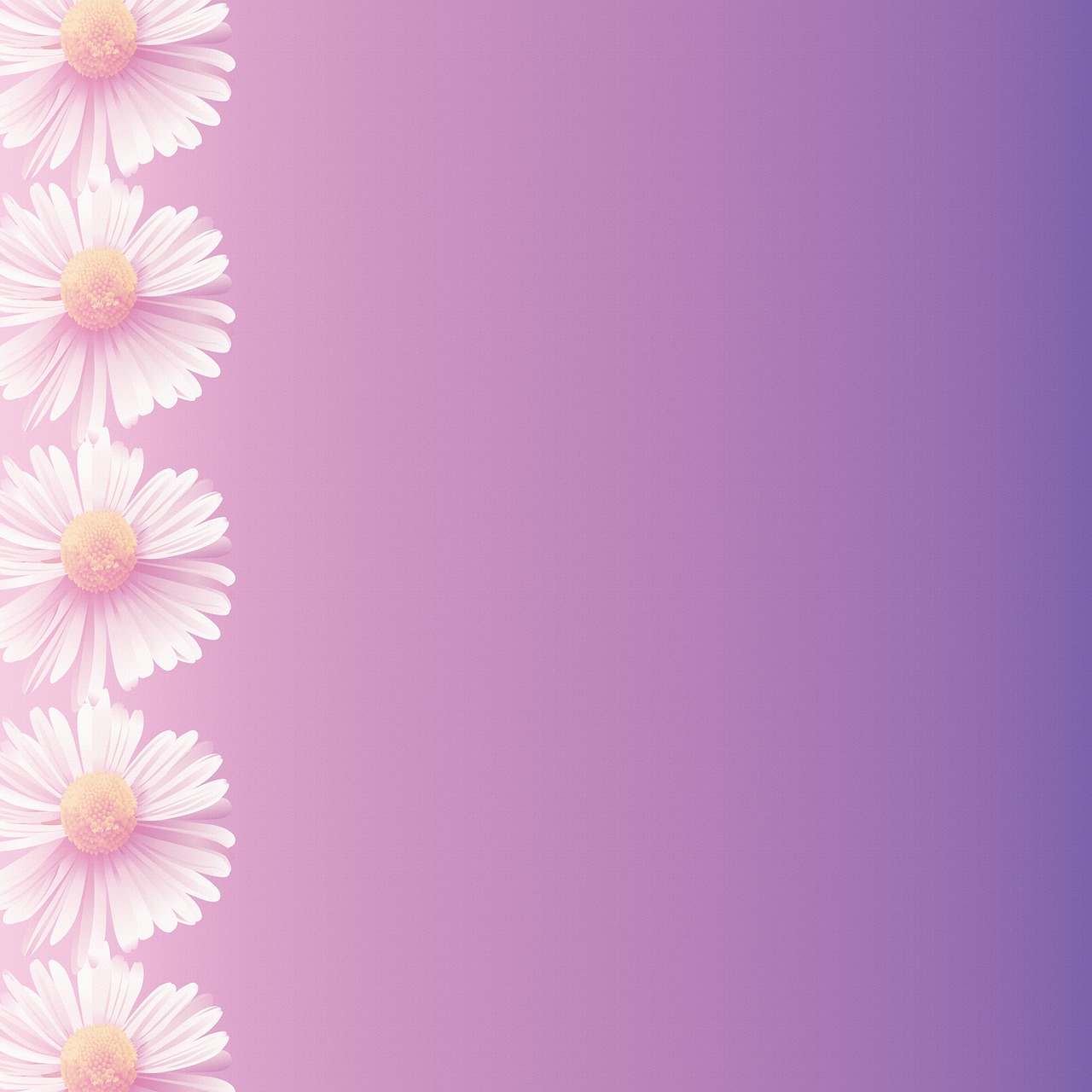 a pink and purple background with white daisies, rasquache, gradient darker to bottom, けもの, 1128x191 resolution, lined up horizontally