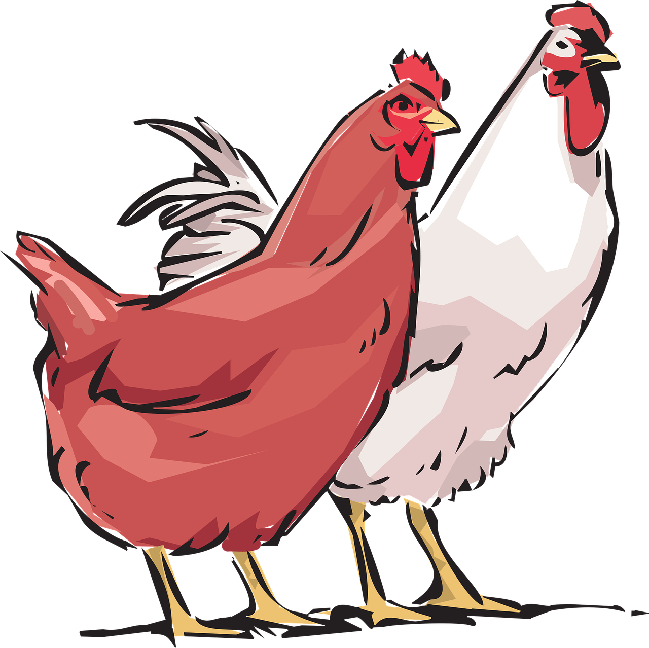 a couple of chickens standing next to each other, an illustration of, by David Budd, shutterstock, with a black background, crimson and white color scheme, clean cel shaded vector art, cartoon style illustration