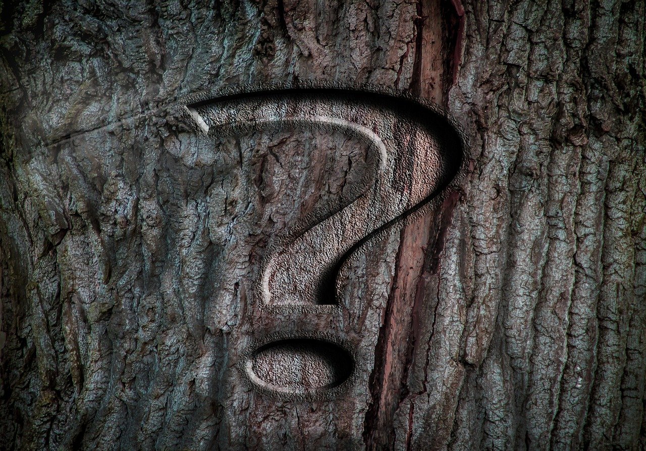 a close up of a tree trunk with a number 2 carved into it, a stock photo, surrealism, question marks, mobile wallpaper, shaded, rendered image