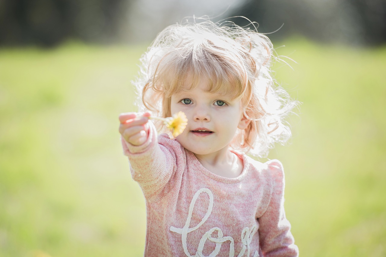 a little girl holding a flower in her hand, spring light, portraiture, dandelion, toddler