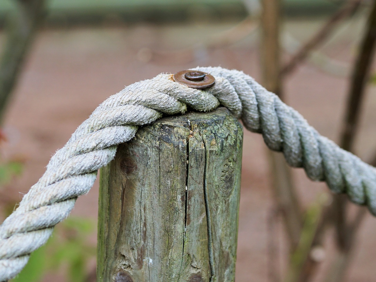 a close up of a rope on a wooden post, by Colijn de Coter, a wooden, close together, high res photo