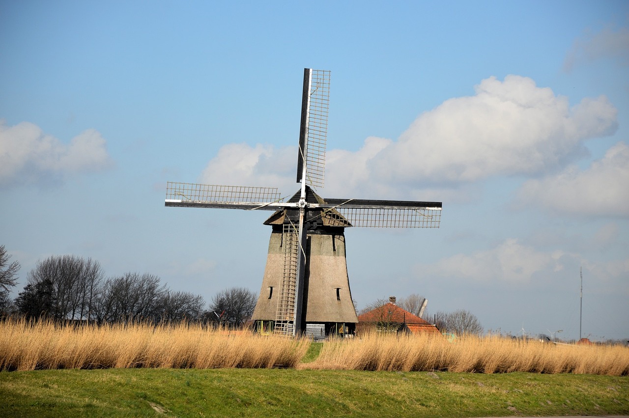 a windmill sitting on top of a lush green field, a picture, by Michiel van Musscher, there is tall grass, monumental structures, wikipedia, wind blows the leaves
