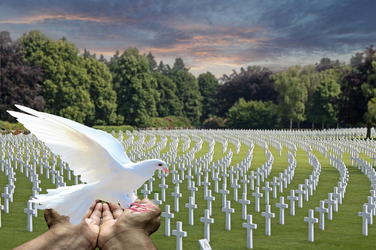 a person holding a white dove in front of a field of crosses, a colorized photo, by Kurt Roesch, digital art, d - day, white bandages on fists, on ground, where being rest in peace