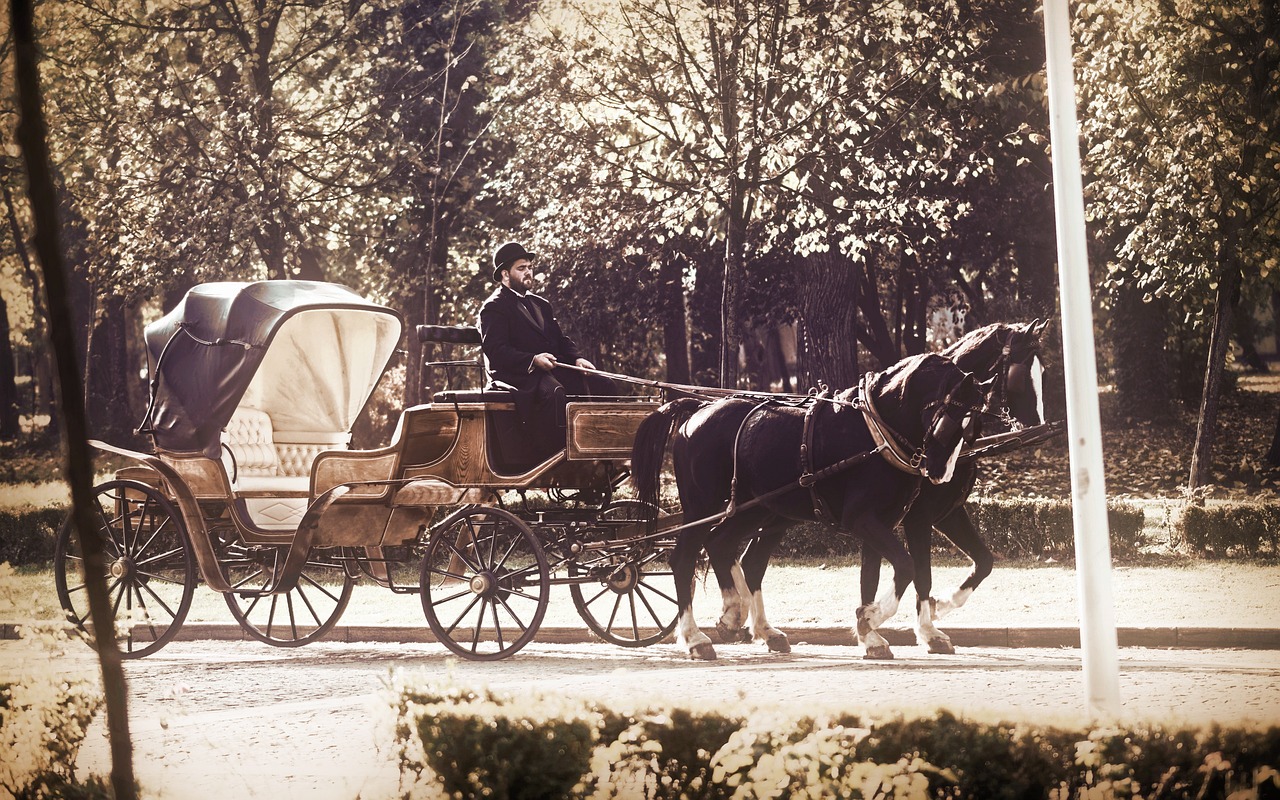 a couple of people riding in a horse drawn carriage, a colorized photo, by Artur Tarnowski, baroque, full morning sun, profile shot, in the park, old style photo