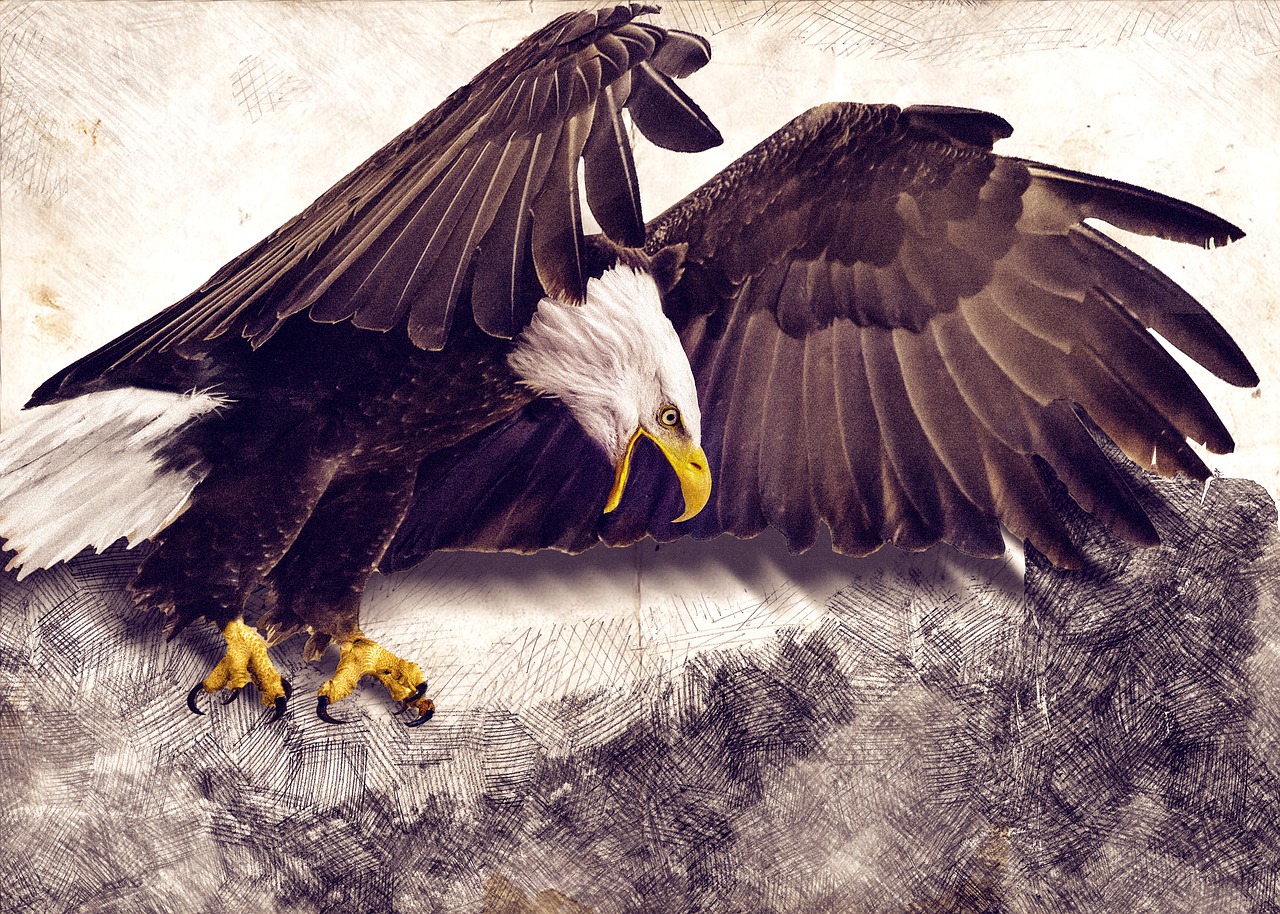 a drawing of a bald eagle with its wings spread, by Galen Dara, shutterstock contest winner, digital art, texturized, bottom angle, gritty image, patriotism