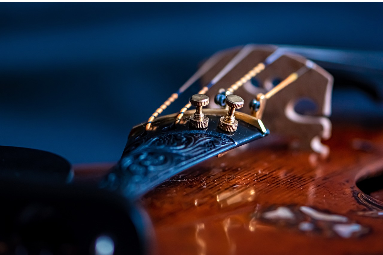 a close up of a guitar neck and strings, a macro photograph, pixabay, baroque, intricate highly detailed 8 k, playing a mandolin, shot on nikon z9, blues