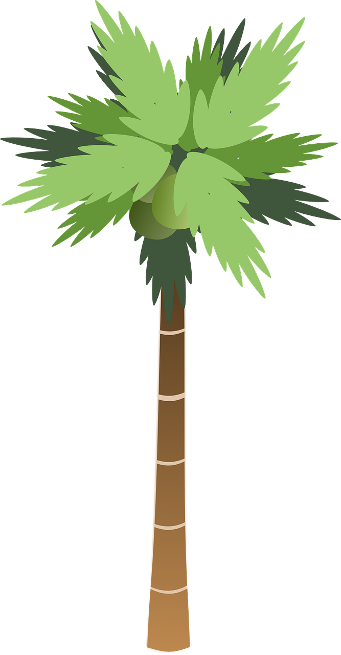a palm tree with green leaves on a black background, an illustration of, hurufiyya, a creature 5 meters tall, props containing trees, lineless, coconuts