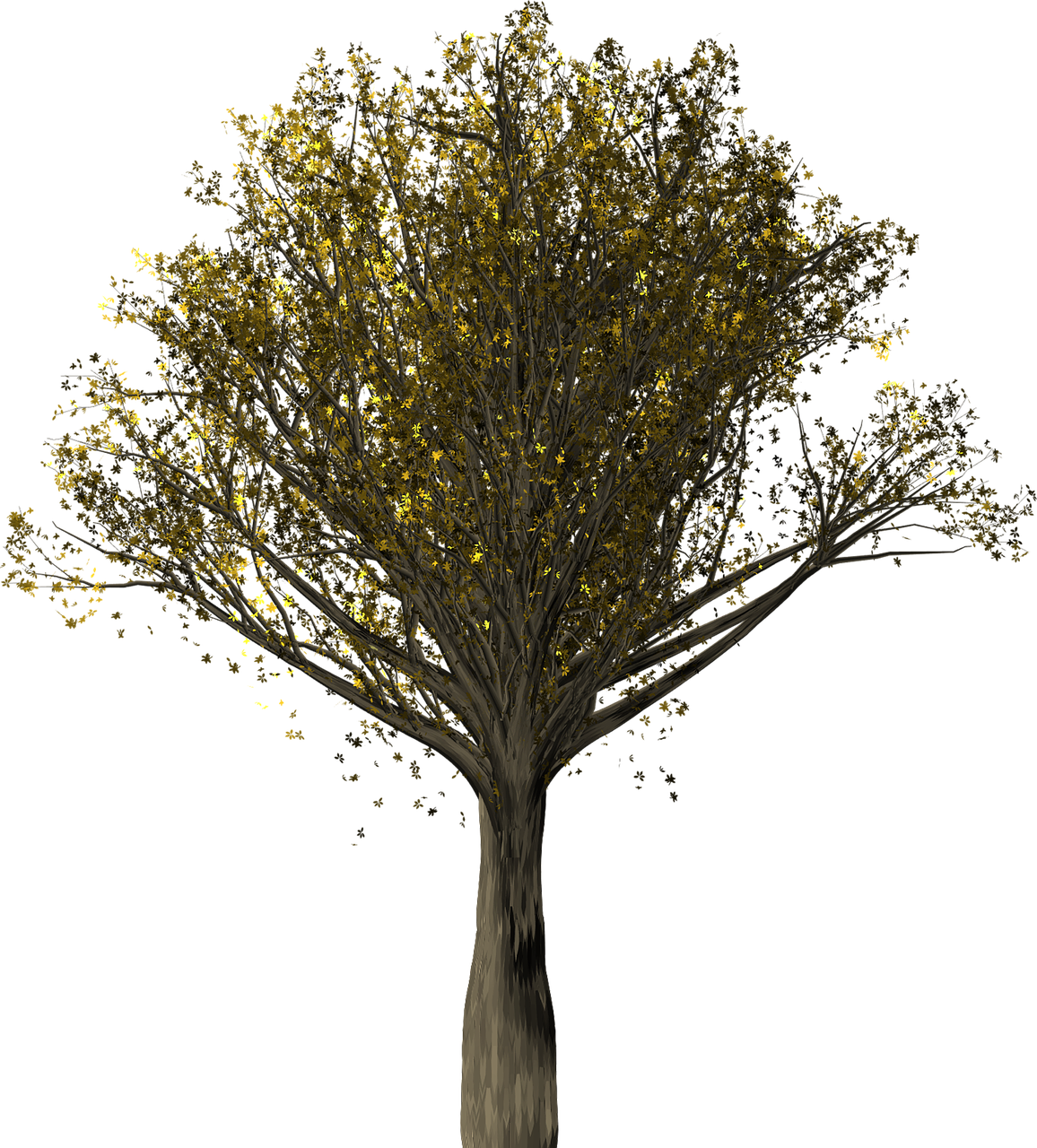 a tree with yellow leaves on a black background, a raytraced image, inspired by Edgar Schofield Baum, polycount, volumetric light from above, shades of gold display naturally, particle simulation, trees and flowers