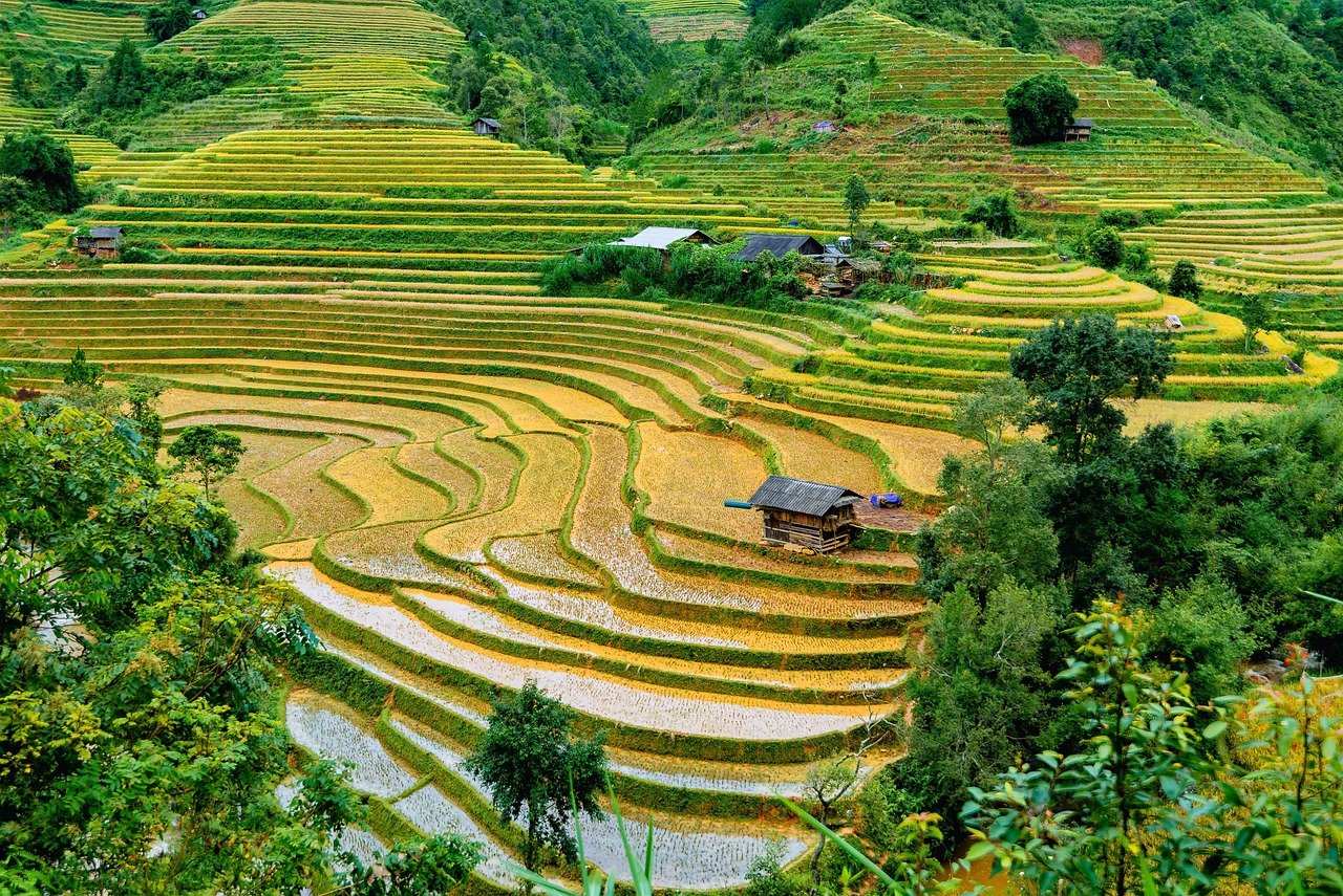 a group of people standing on top of a lush green hillside, a picture, by Richard Carline, shutterstock, land art, rice paddies, full of golden layers, vivid colors!, hut