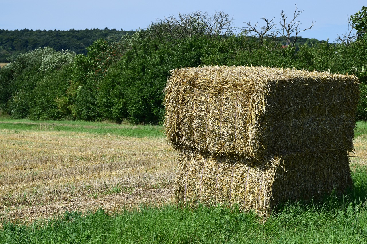 a stack of hay sitting in the middle of a field, a picture, figuration libre, detailed picture, near farm, pillar, marketing photo