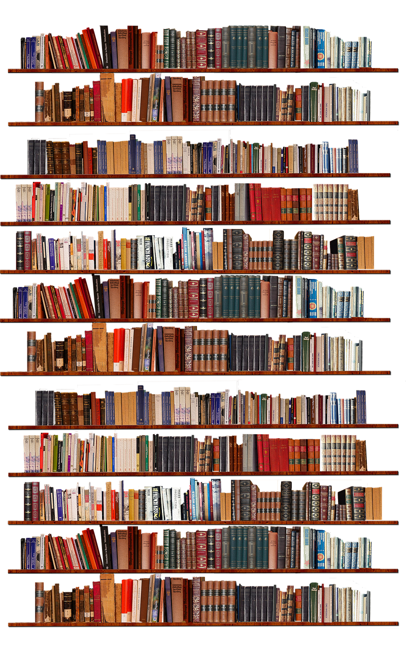 a book shelf filled with lots of books, by Dietmar Damerau, shutterstock, renaissance, fred tomaselli, !!highly detailed!!, stereogram, encyclopedia illustration