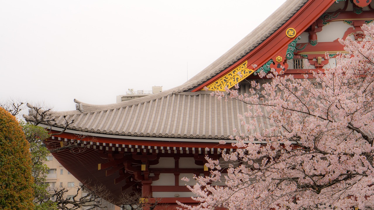 a close up of a building with a tree in front of it, inspired by Torii Kiyomasu II, cherry blossoms in the wind, full frame shot, foggy, shot from roofline