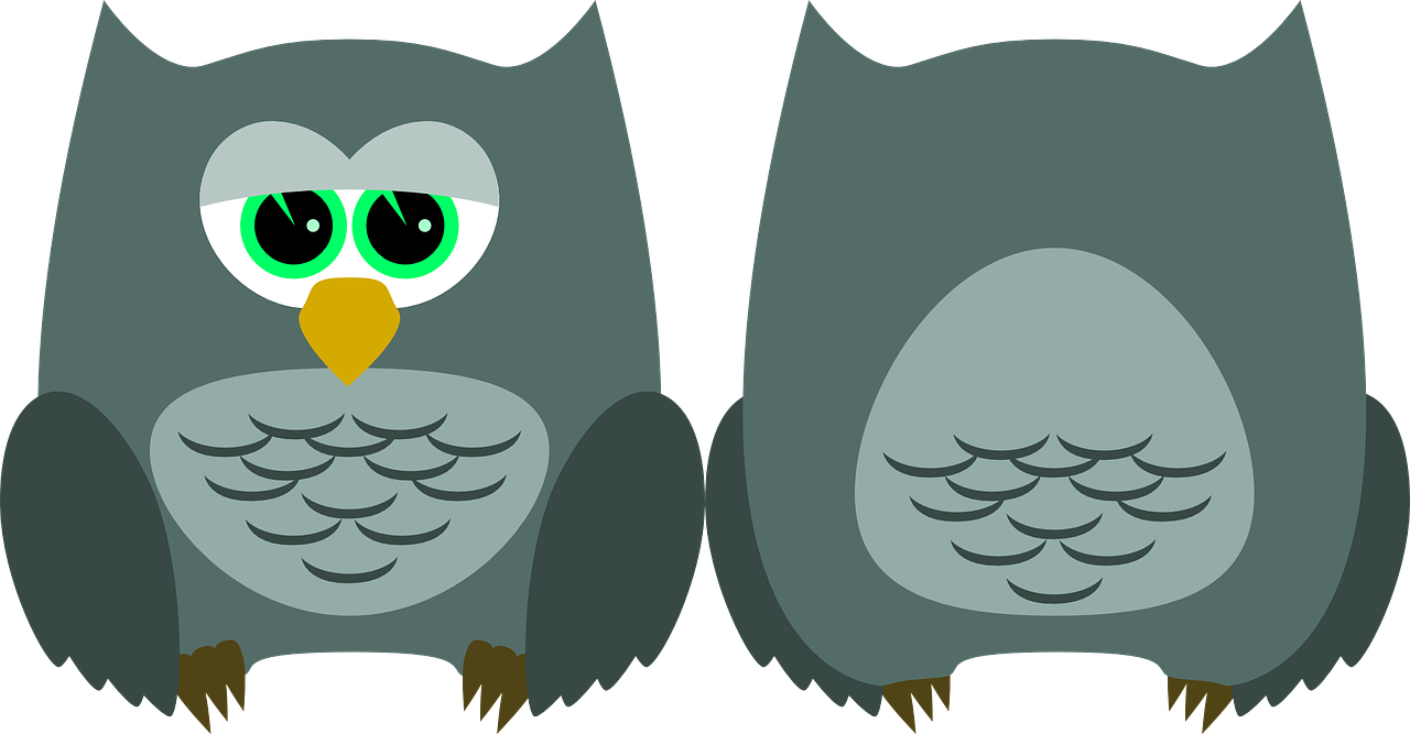 two owls with green eyes sitting next to each other, vector art, by Ludovit Fulla, trending on pixabay, fat chibi grey cat, complete body view, at nighttime, which splits in half into wings
