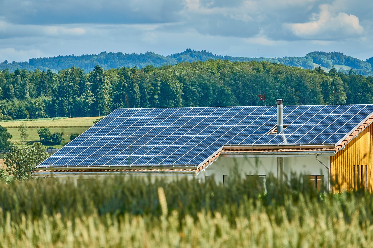 a house with solar panels on the roof, by Carey Morris, pixabay, renaissance, wide view of a farm, viewed in profile from far away, building cover with plant, wide establishing shot