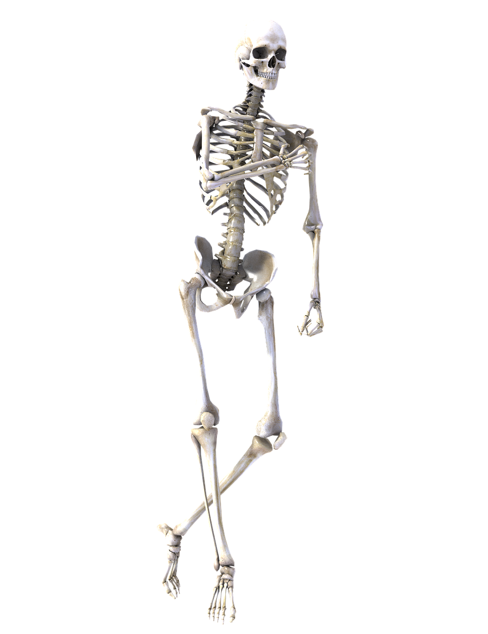 a skeleton standing in front of a black background, a digital rendering, massurrealism, octane render h 1024, full entire body fun pose, fbx, 240p