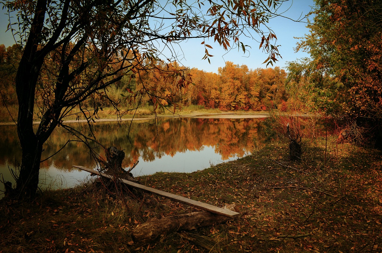 a large body of water surrounded by trees, by Harold von Schmidt, flickr, autumn! colors, illinois, shot on leica sl2, childish look