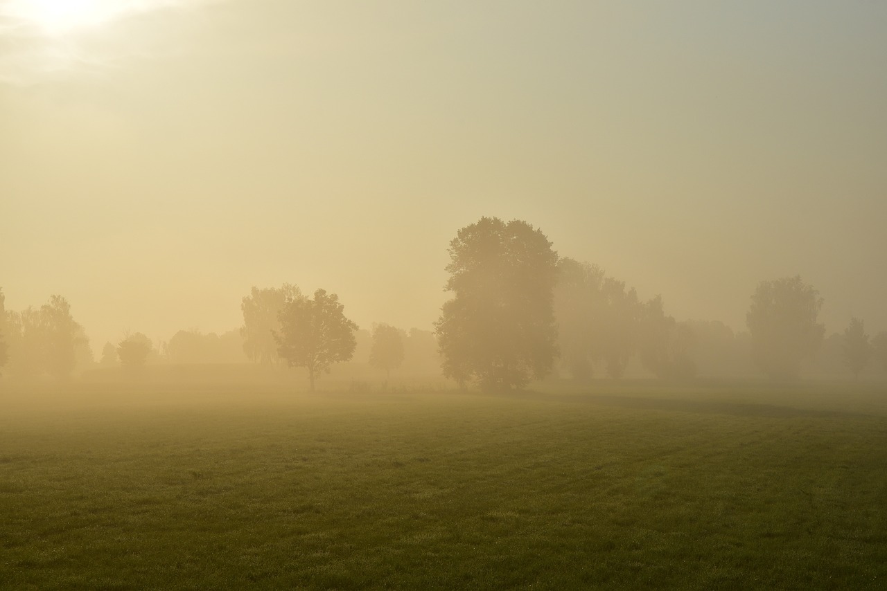 a person flying a kite in a foggy field, a picture, by Erwin Bowien, shutterstock, tonalism, trees. wide view, early dawn, yard, iowa