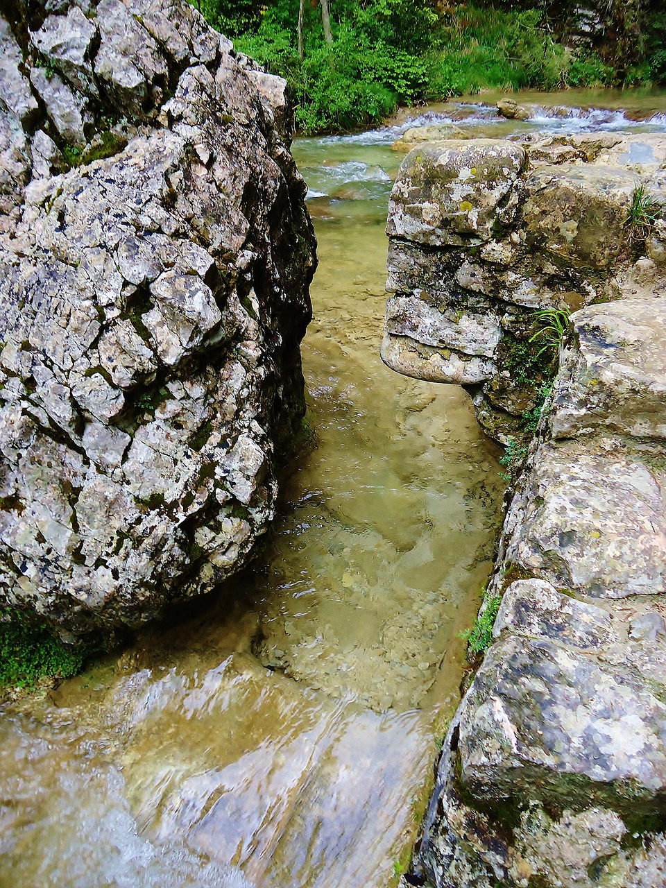 a stream running through a lush green forest, les nabis, rock texture, limestone, stone floor, water caustics