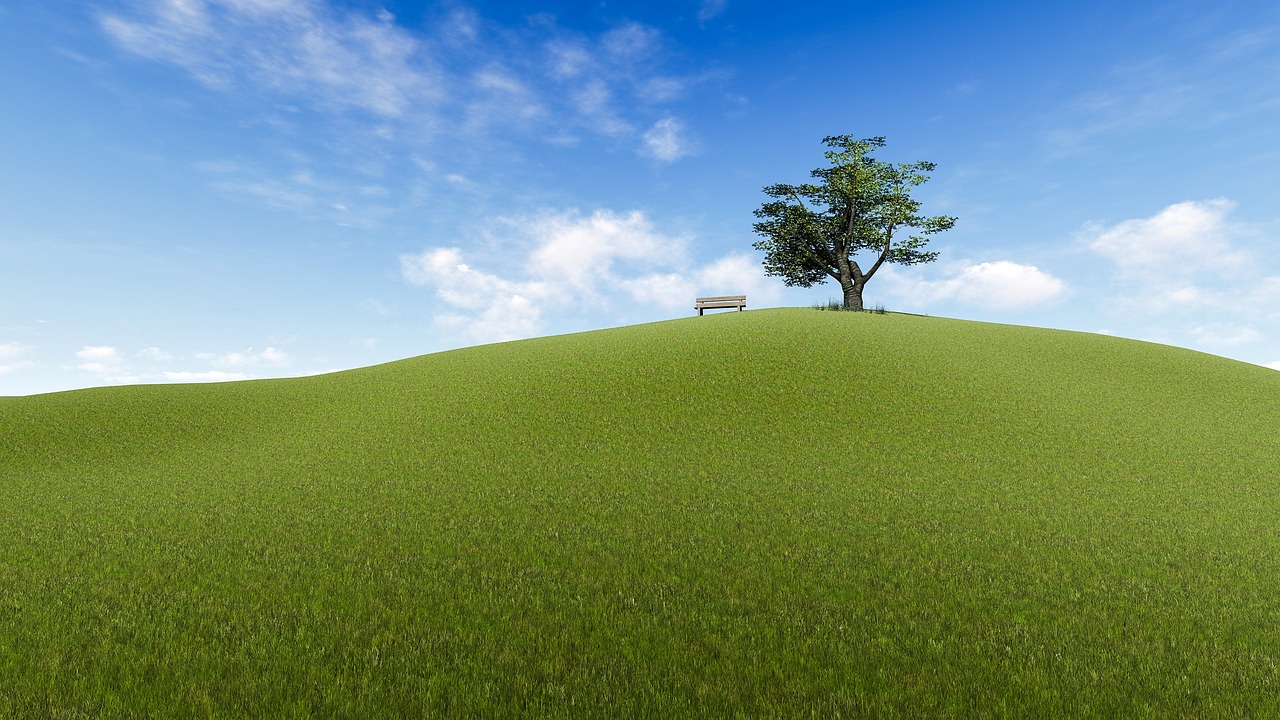 a lone tree sitting on top of a green hill, by Tadashige Ono, minimalism, 3d cg, bench, landscape architecture photo