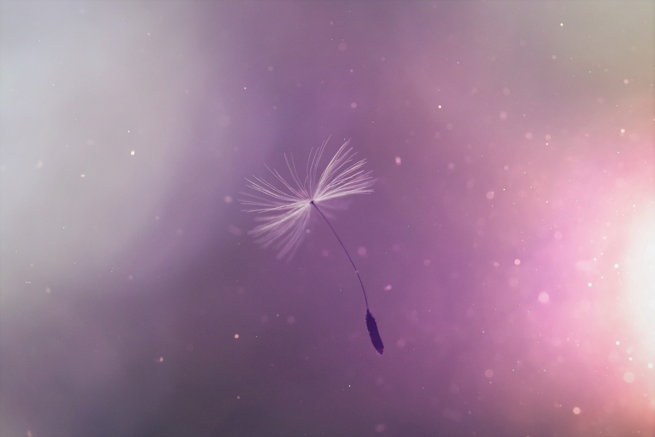 a dandelion blowing in the wind on a purple background, a picture, by Anna Füssli, digital art, animation still screencap, of letting go, beautiful feather, light particules