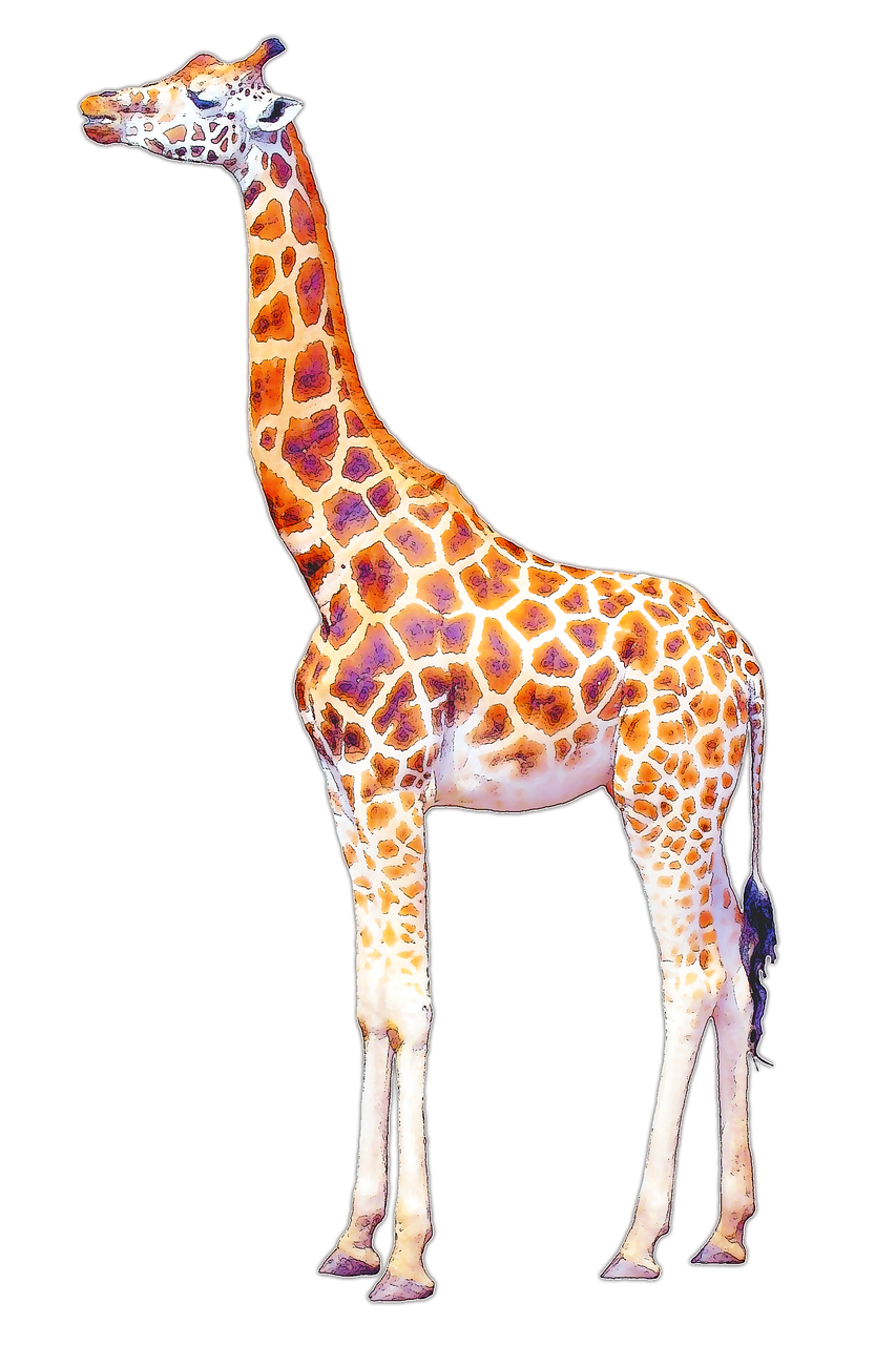 a giraffe standing in front of a black background, a digital rendering, arabesque, amazing color photograph, extremely high contrast!, wallpaper - 1 0 2 4, joe webb