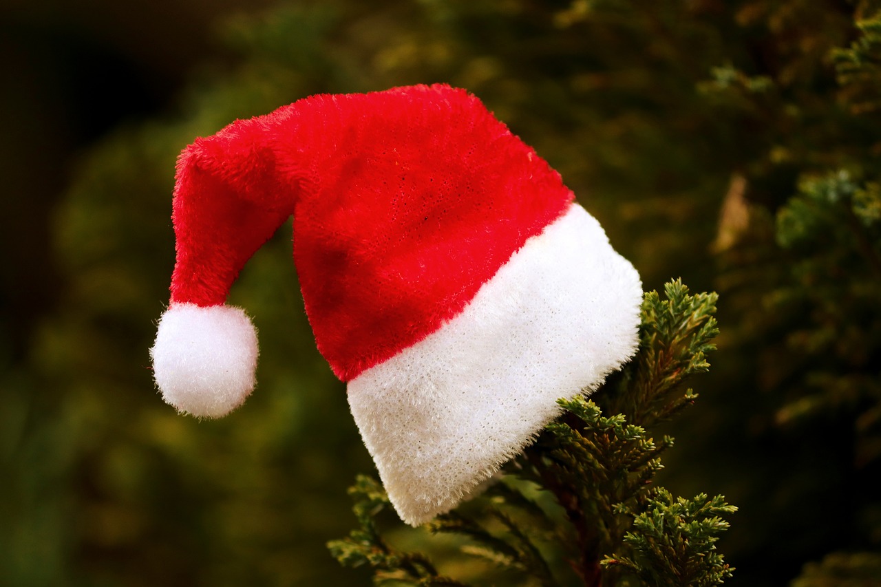 a red and white santa hat sitting on top of a tree, a picture, pixabay, hurufiyya, avatar image, detailed zoom photo, evergreen, felt