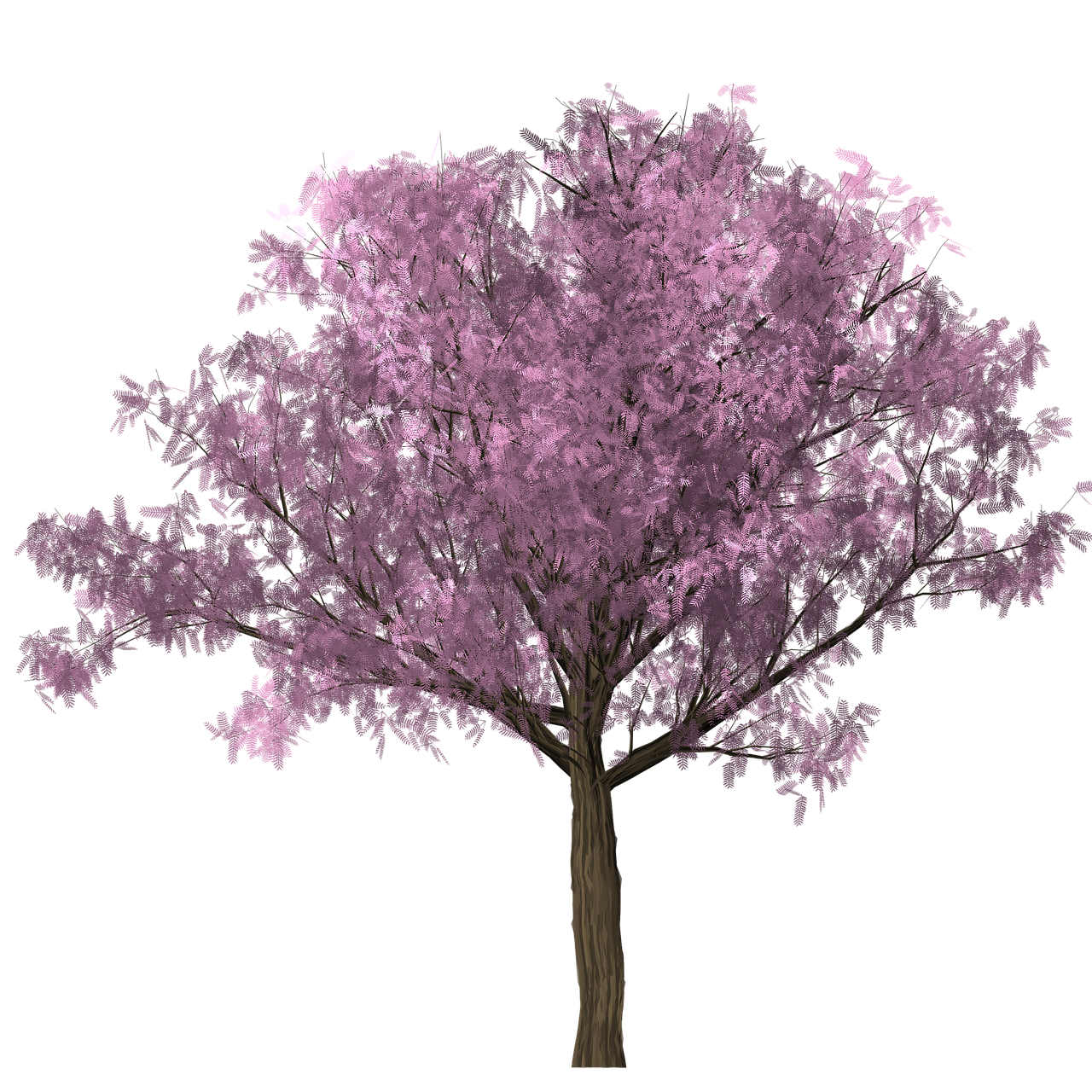 a purple tree on a black background, a raytraced image, sakura season dynamic lighting, image dataset, image, (pink colors)