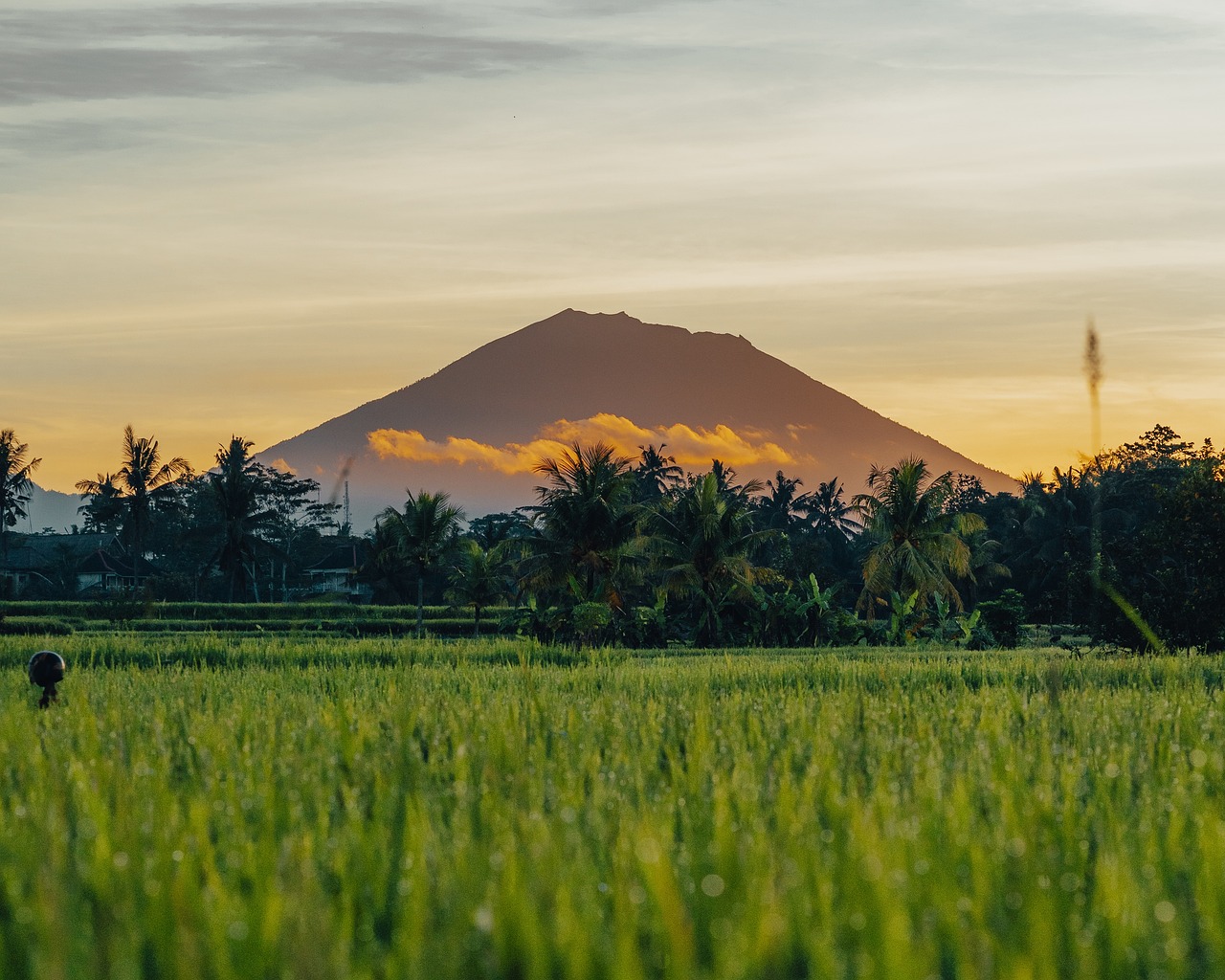 a person in a field with a mountain in the background, a picture, shutterstock, sumatraism, at sunset, shot from a distance, stock photo, volcano