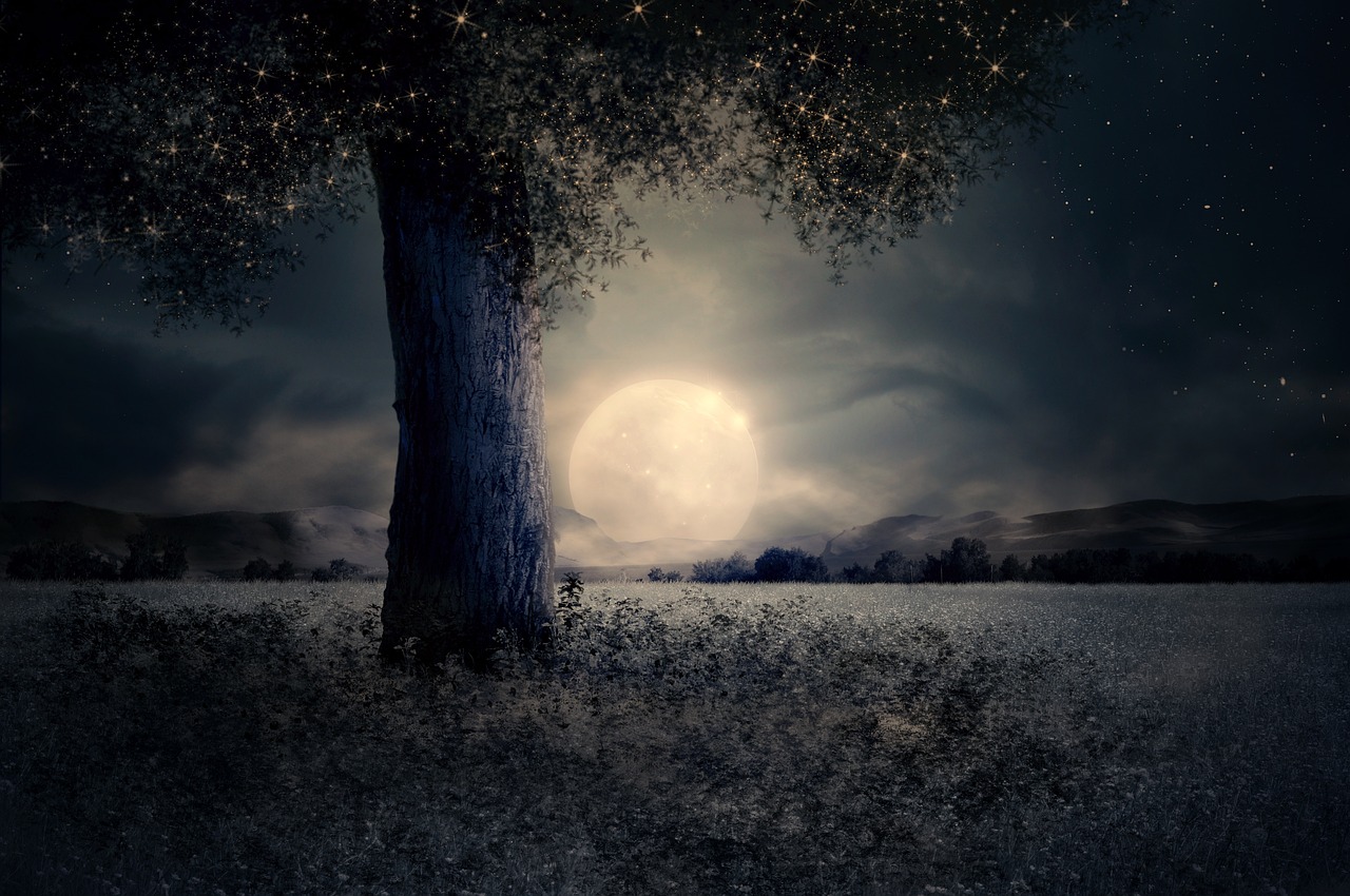 a tree in a field with a full moon in the background, by Cindy Wright, digital art, high quality fantasy stock photo, stars glistening in the night, beautiful photograph, background image