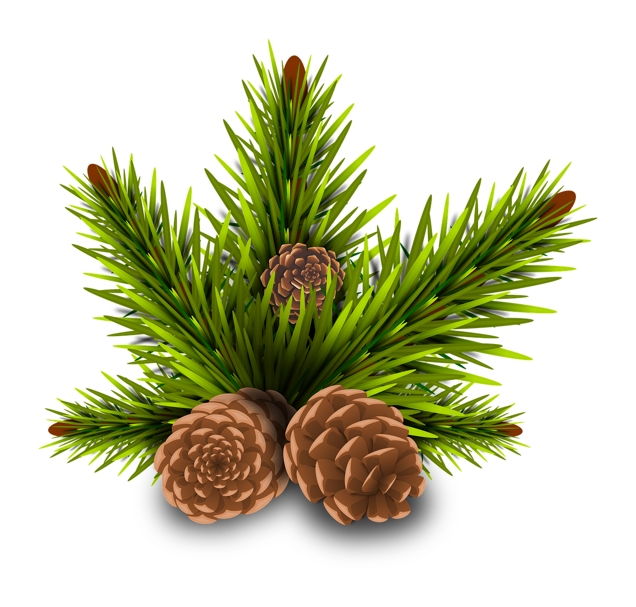 a bunch of pine cones sitting on top of a pine tree, a digital rendering, polycount, folk art, on a flat color black background, avatar image, plants and grass, -h 1024