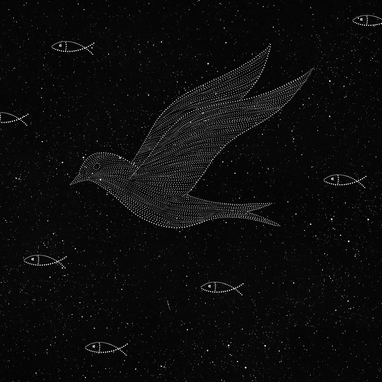 a bird flying over a flock of fish, tumblr, kinetic pointillism, black background with stars, line - art, dwell, malika favre
