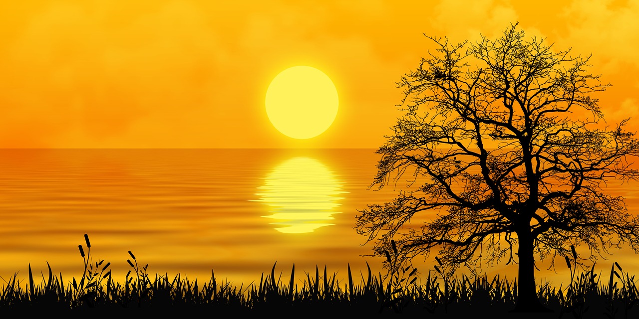 a lone tree is silhouetted against the setting sun, a digital rendering, inspired by Sun Long, beautiful lake background, yellow wallpaper, sunset photo, very beautiful photo