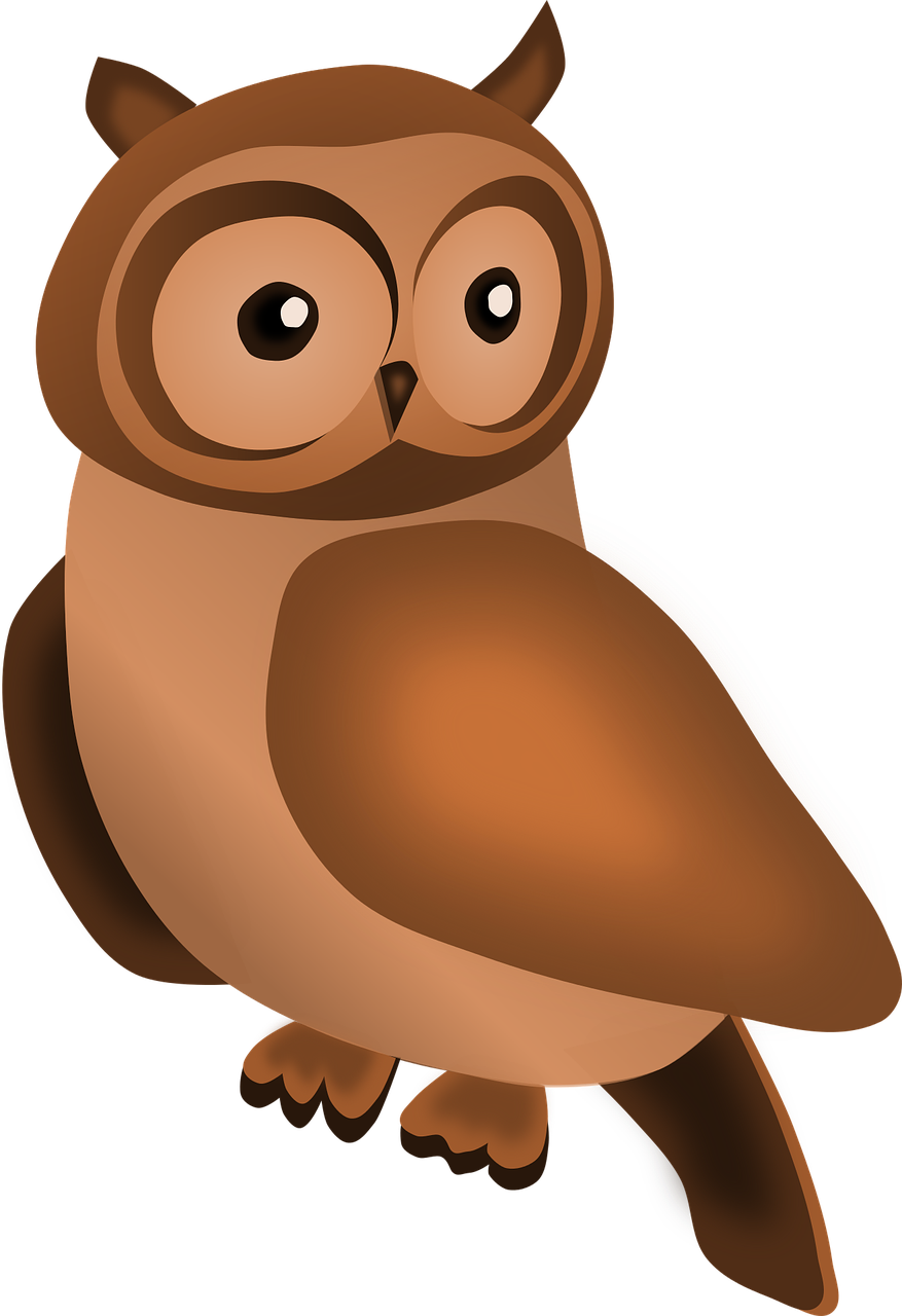 a brown owl sitting on top of a tree branch, a digital rendering, pixabay, cell shaded adult animation, bird\'s eye view, “portrait of a cartoon animal, nite - owl