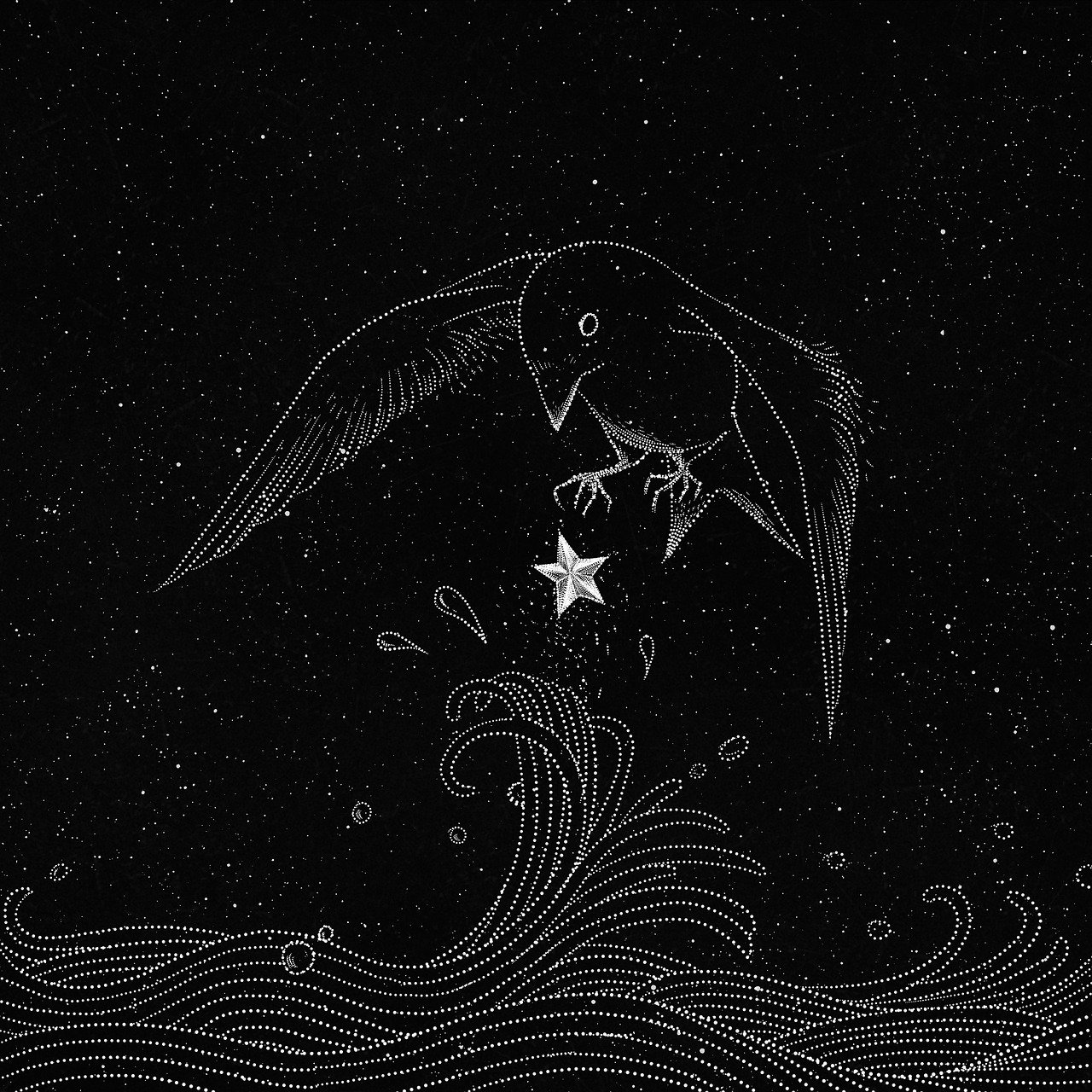 a bird that is flying over some water, an engraving, conceptual art, black background with stars, orelsan, communist starfish, oyasumi punpun