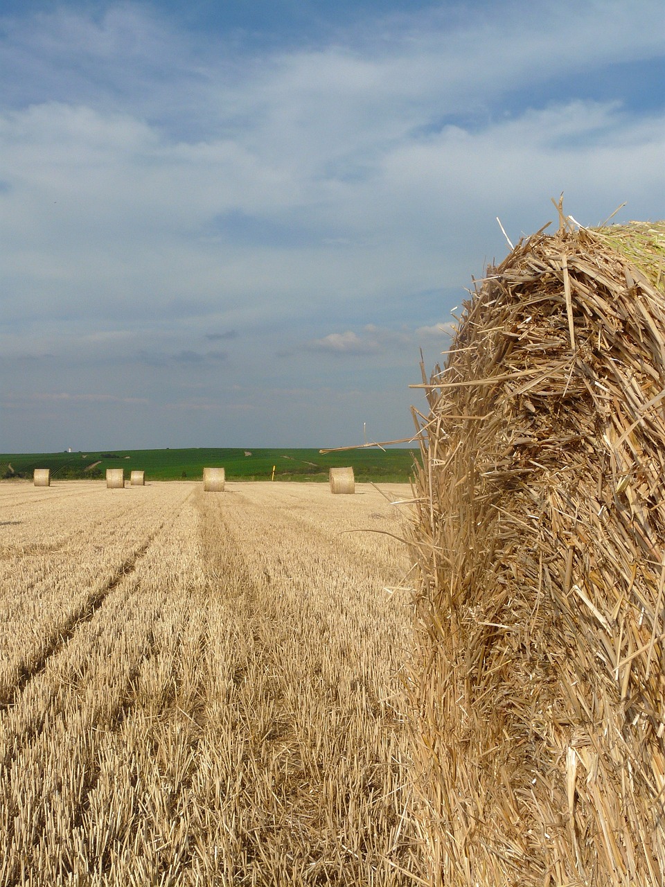 a large hay bale sitting in the middle of a field, a picture, flickr, northern france, tall corn in the foreground, closeup photo, wide shot photo