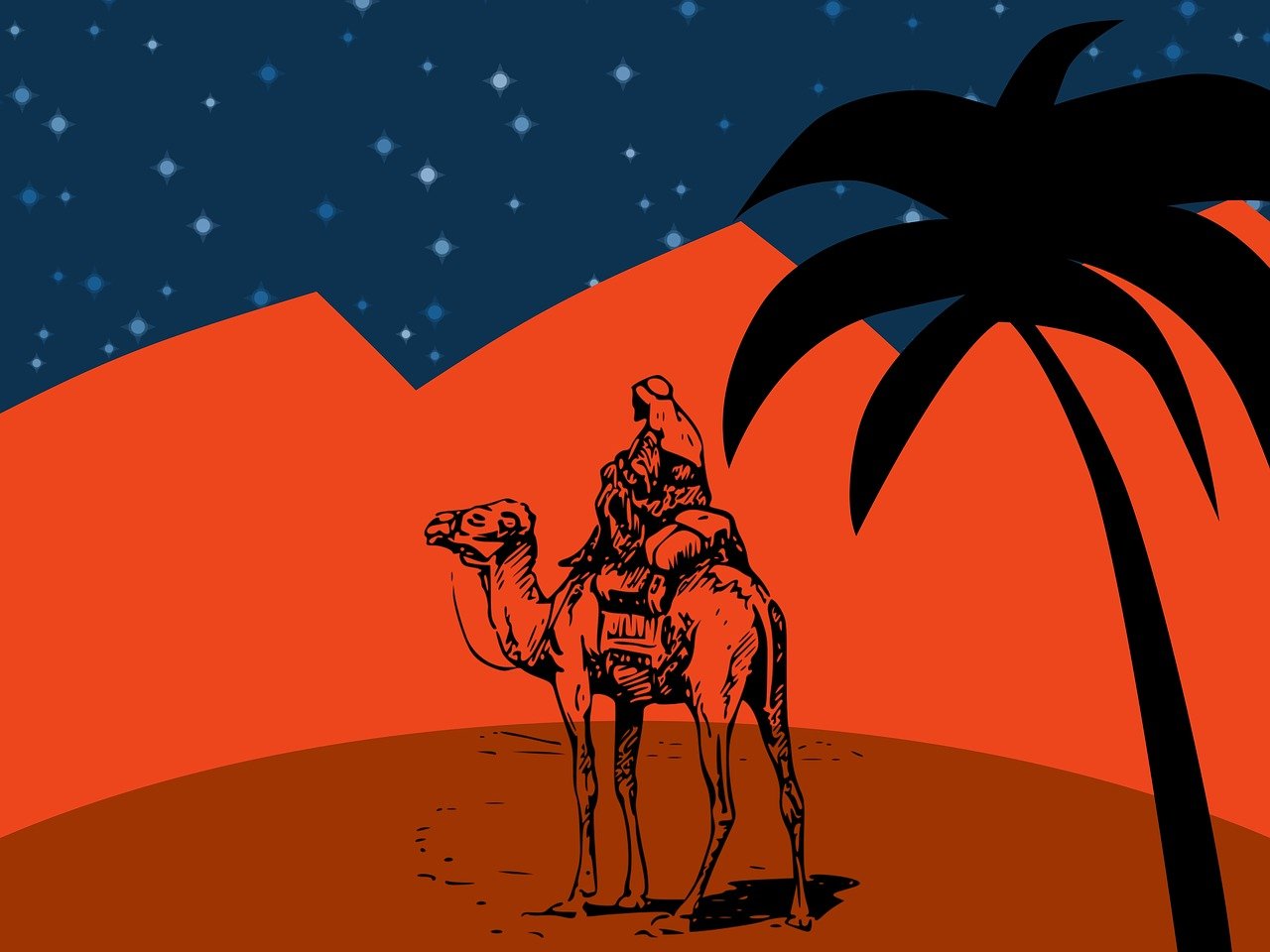 a man riding on the back of a camel, an illustration of, naive art, night landscape background, marrakech, high contrast illustration, christmas