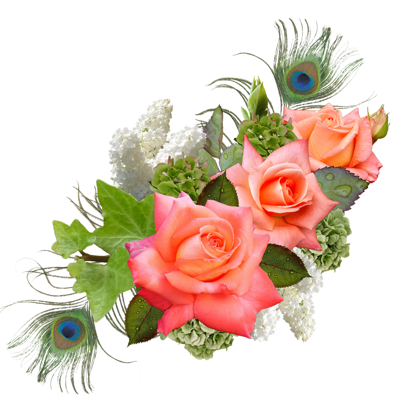 a bouquet of pink roses and peacock feathers, a digital rendering, peach embellishment, roses and lush fern flowers, white peacock feathers, welcoming attitude