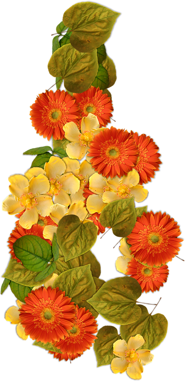 a bouquet of orange and yellow flowers on a black background, a digital rendering, high resolution scan, close-up!!!!!!, red and white flowers, flowers and trees