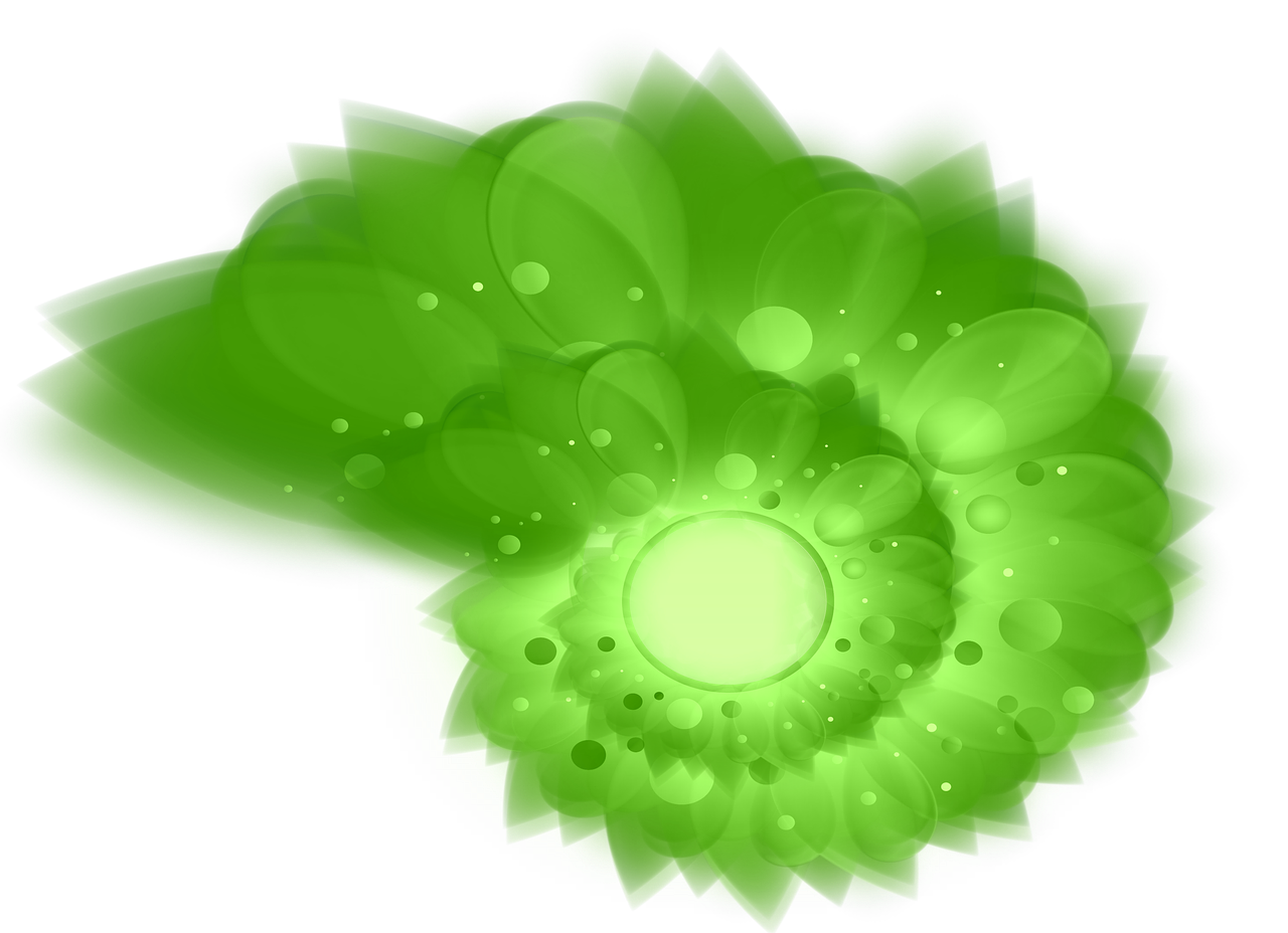 a close up of a green flower on a black background, a raytraced image, inspired by Otto Piene, deviantart, vector background, abstract sun in background, lettuce, light background