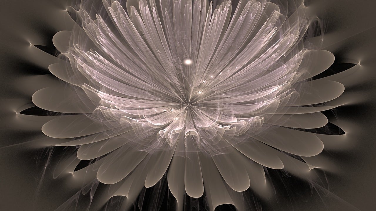 a black and white photo of a flower, digital art, generative art, glowing golden aura, fractal feathers, muted background, rendered in povray