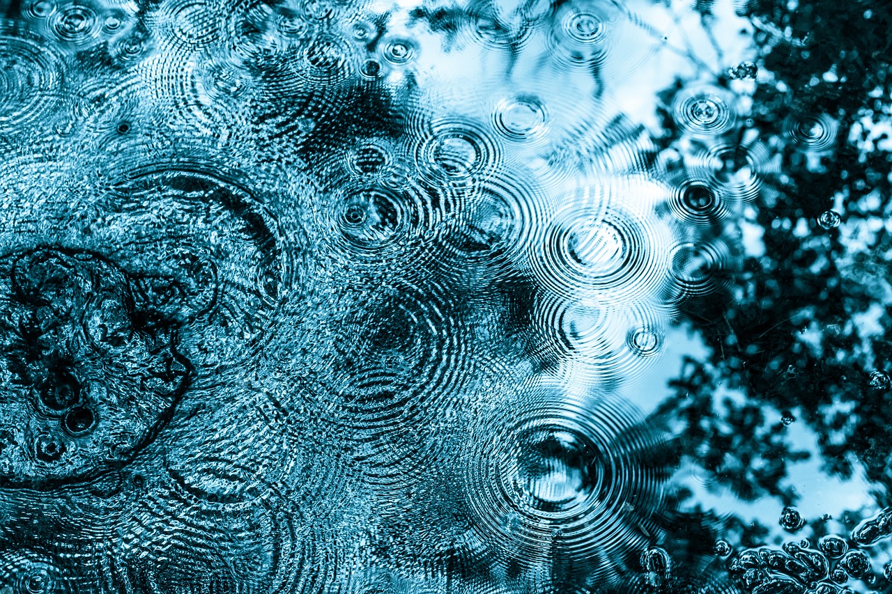 a close up of a puddle of water with trees in the background, a macro photograph, by Eugeniusz Zak, pexels, lyrical abstraction, circles, blue toned, raining!!, fractal glass