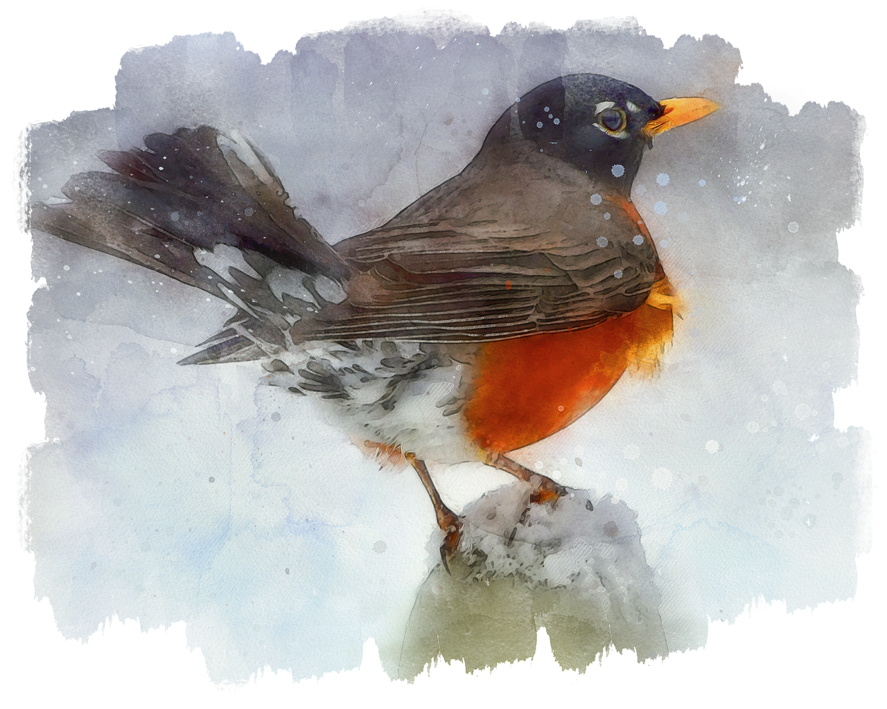 a bird sitting on top of a piece of snow, a digital painting, inspired by Charles Bird King, ((water color)), robin, portrait shot, edited