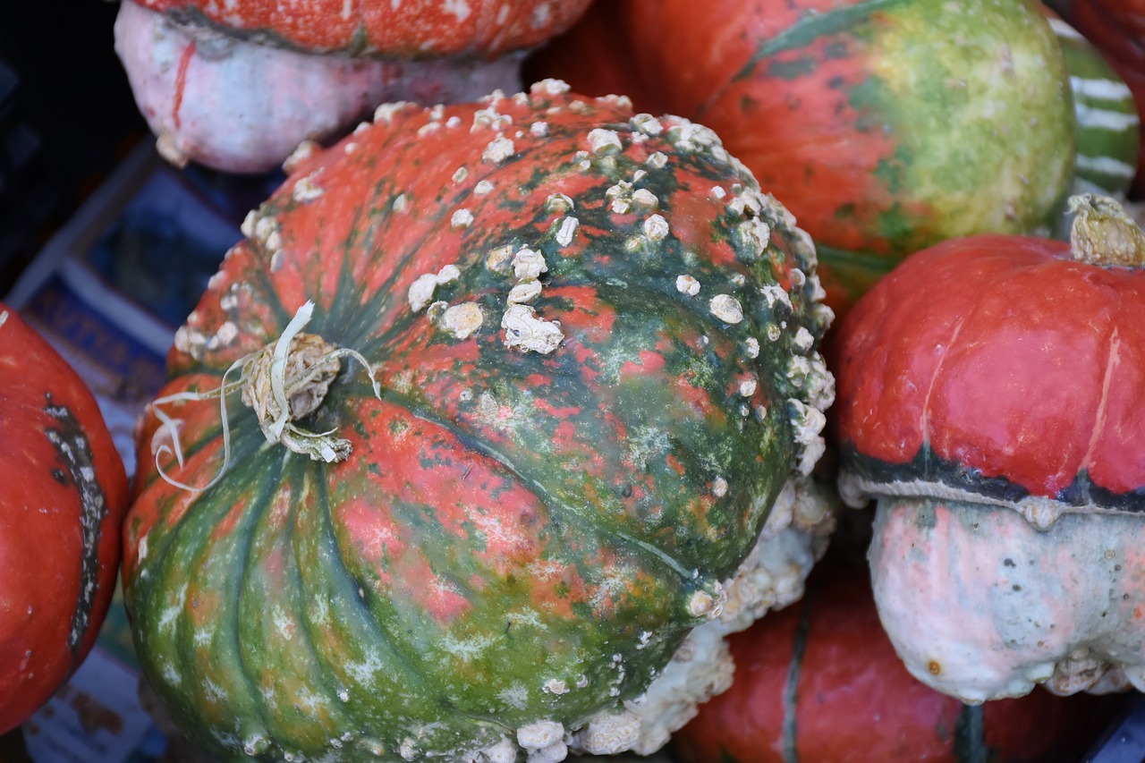 a pile of red and green pumpkins sitting on top of each other, a stipple, sōsaku hanga, the photo shows a large, bumpy mottled skin, seeds, looking across the shoulder