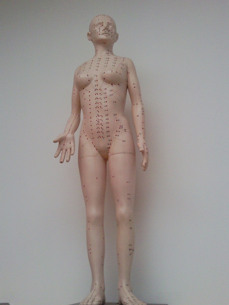 a statue of a woman with acupoints on her body, massurrealism, 1 figure only, full body!, yin zhen chu, entire body