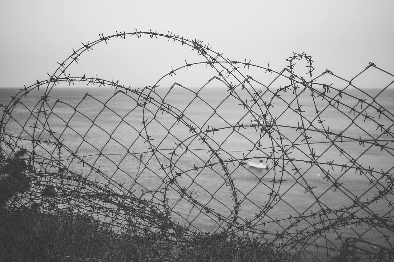 a black and white photo of a barbed wire fence, pexels, fine art, view of sea, pentagon, tourist photo, hedge