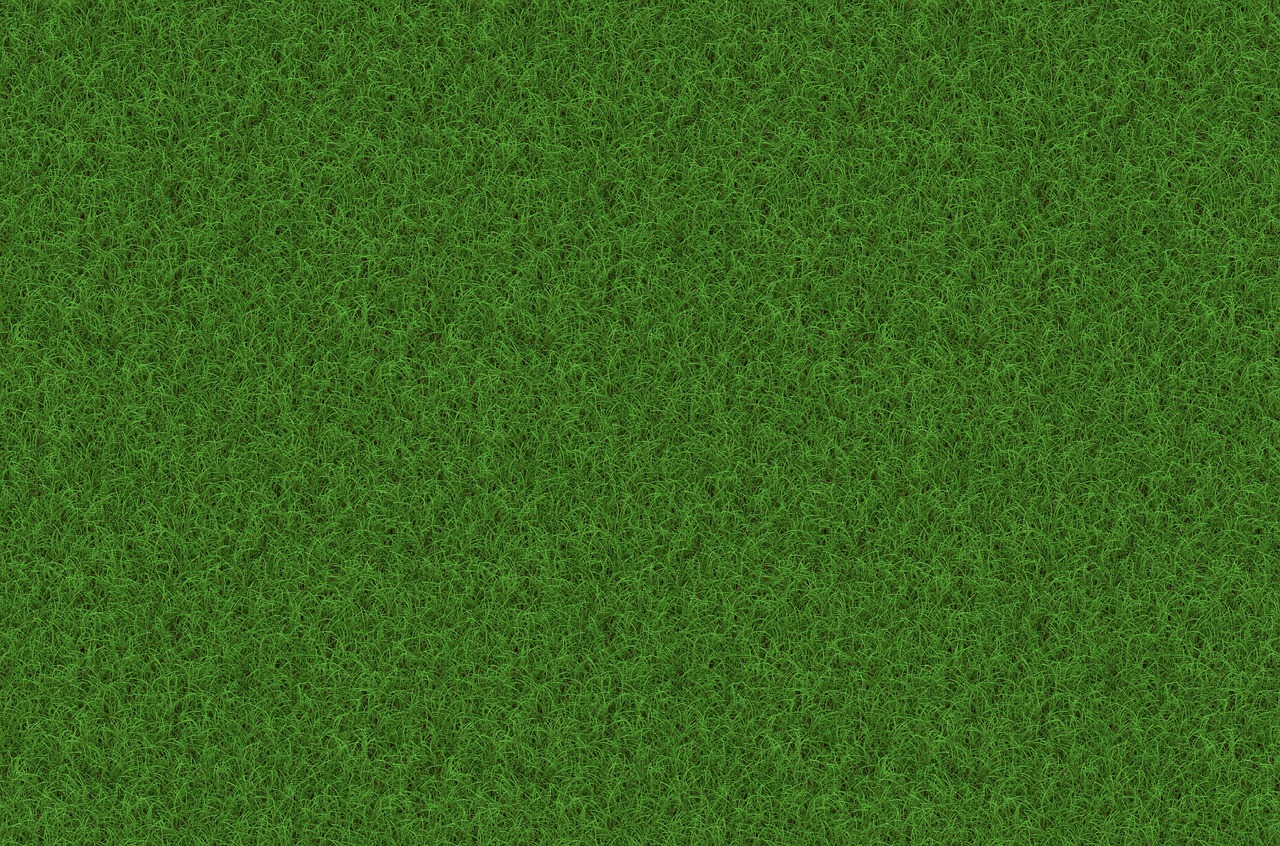 a close up of a green grass field, a digital rendering, high quality wallpaper, best on adobe stock, top-down shot, evergreen